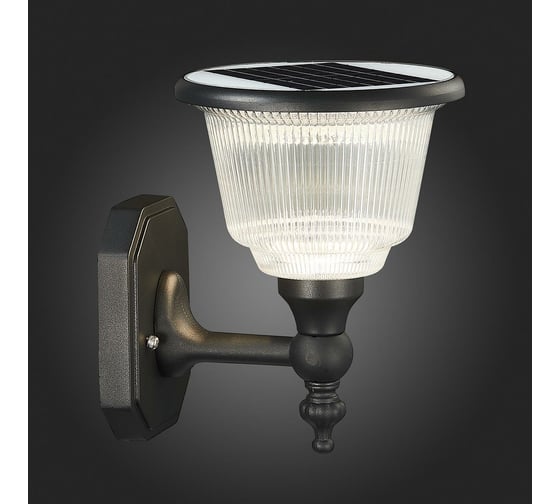 Настенный уличный светильник ST LUCE SOLARIS SL9502.401.01