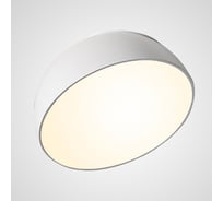Потолочный светильник IMPERIUMLOFT SELDEN D30 White 208112-23