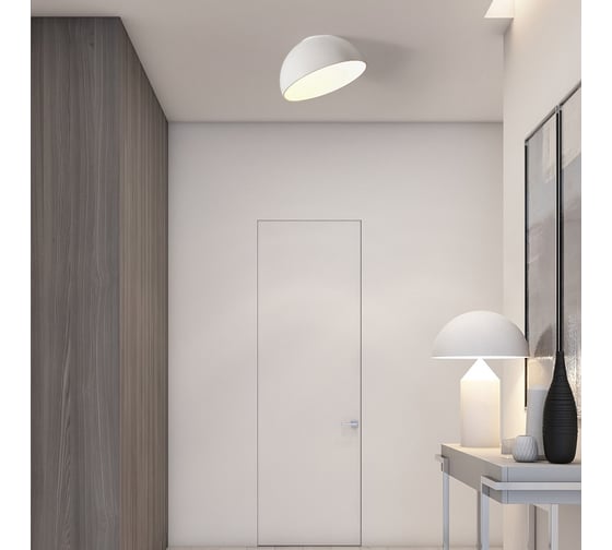 Потолочный светильник IMPERIUMLOFT SELDEN D30 White 208112-23
