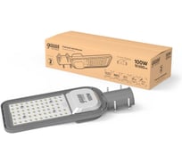 Уличный консольный светодиодный светильник Gauss Avenue 100W 10000lm 6500K IP65 КСС Ш LED 629534400