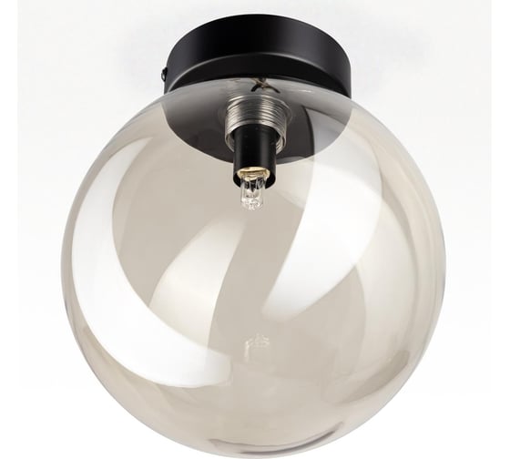 Светильник Citilux ORTON дымчатый CL202511