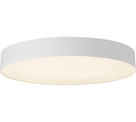 Светильник потолочный Citilux BART LED белый CL755490