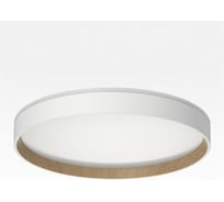 Светильник с пультом Citilux ETALON LED RGB белый+бук CL750320R