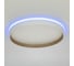 Светильник с пультом Citilux ETALON LED RGB белый+бук CL750320R 5