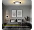 Светильник с пультом Citilux ETALON LED RGB черный+золото CL750321R 19