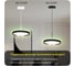 Светильник с пультом Citilux ETALON LED RGB черный+золото CL750321R 22