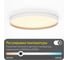 Светильник с пультом Citilux ETALON LED RGB белый+бук CL750500R 13