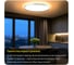 Светильник с пультом Citilux ETALON LED RGB белый+бук CL750500R 15
