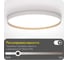 Светильник с пультом Citilux ETALON LED RGB белый+бук CL750500R 16