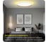 Светильник с пультом Citilux ETALON LED RGB белый+бук CL750500R 28