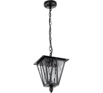 Уличный подвесной светильник Citilux FORTS CLU09S