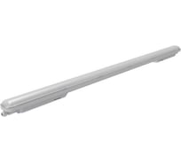 Светильник светодиодный Русский Свет ДСП WP 02 C OP 840 L1500 1500x72x72мм 48Вт 4000К IP65 пылевлагозащ. бел. 15070223185