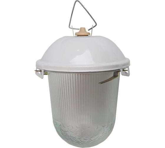 Светильник General Lighting Systems настенно-потолочный 246*172мм General НСП 02-100-001.01, под лампу Е27 до 100Вт, корпус м 437821