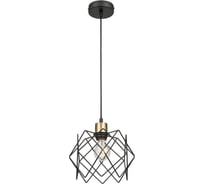 Подвесной светильник Vele Luce Scheletro VL6392P01