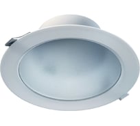 Светильник LEDEL Radian 25 NEW/23/Д/4,0K/03/220AC IP40 203302300843400