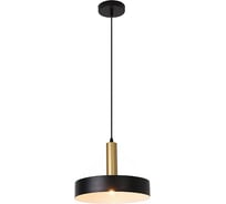 Подвесной светильник Escada E27x60W, Black 1110/1S