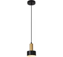 Подвесной светильник Escada E27x60W, Black 1111/1S