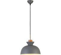Подвесной светильник Escada E27x40W, Grey 1105/1S