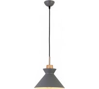 Подвесной светильник Escada E27x40W, Grey 1106/1S
