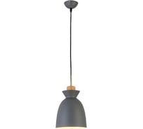 Подвесной светильник Escada E27x40W, Grey 1107/1S
