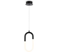 Подвесной светильник Freya FR6106PL-L13B