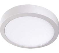 Светильник накладной круглый KANLUX CARSA V2LED 24W-NW-W 33541