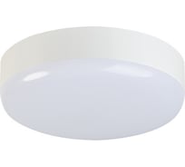 Светодиодный потолочный светильник KANLUX IPER LED 10W-NW-O 37290