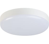 Светодиодный потолочный светильник KANLUX IPER LED 26W-NW-O 37292