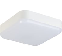 Светодиодный потолочный светильник KANLUX IPER LED 10W-NW-L-SE 37302