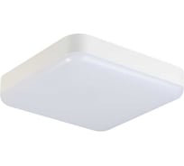 Светодиодный потолочный светильник KANLUX IPER LED 26W-NW-L-SE 37304