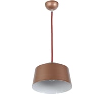 Подвесной светильник Arti Lampadari Tempo E 1.3.P1 BR