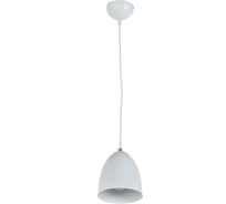 Подвесной светильник Arti Lampadari Torre E 1.3.P1 W