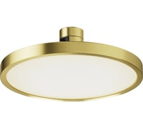 Трековый светильник MAYTONI TR153-1-10W4K-BS