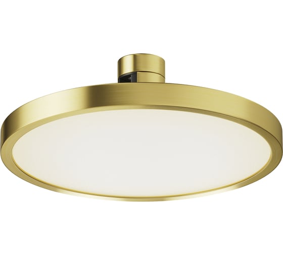 Трековый светильник MAYTONI TR153-1-10W4K-BS 1