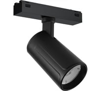 Трековый магнитный светодиодный светильник iLEDEX VISION48/25 4825-048-D60-10W-36DG-3000K-BK