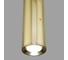 Подвесной светильник Elektrostandard 50214 1 LED золото a055667 5