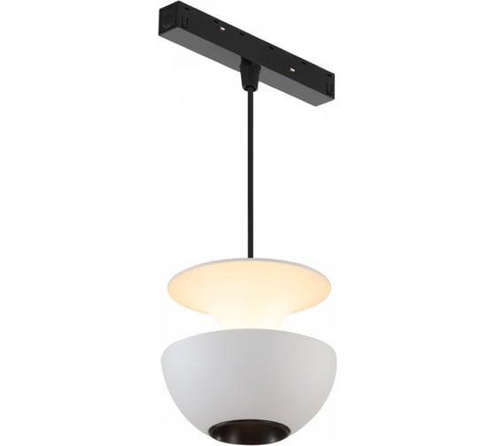Трековый магнитный светодиодный светильник iLEDEX VISION48/22 4822-012-D80-6W-38DG-3000K-WH