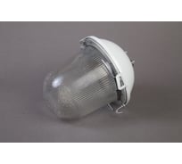 Светильник ФОРСВЕТ НСП 02-100-001.01 У2 б/с,стекло,крюк НСП 02-100-001.01 У2 (б/с,стекло)