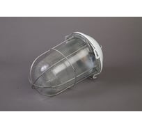 Светильник ФОРСВЕТ НСП 02-200-022.01 У2 с/с,стекло, крюк (4 штуки) НСП 02-200-022.01 У2 (с/с,стекло) - 4 штуки