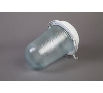 Светильник ФОРСВЕТ НСП 02-200-021.01 У2 б/с,стекло,крюк (4 штуки) НСП 02-200-021.01 У2 (б/с,стекло) - 4 штуки