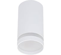 Точечный накладной светильник Reluce 16001-9.5-001LD GU10 WT