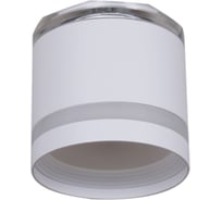 Точечный накладной светильник Reluce 53001-9.5-001LD GX53+LED3W WT