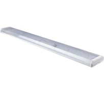 Светильник INCOME LIGHT CCO 110 1 40 вт IP20 Кристал 2*36 00000012