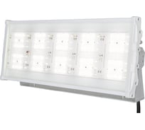 Светильник INCOME LIGHT CСО 430 1 100 вт IP65 PROJECTOR ДРЛ 400 К MW 00000977