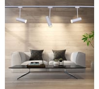 Трековый светильник Reluce 06225-9.3-001RN MR16 WT