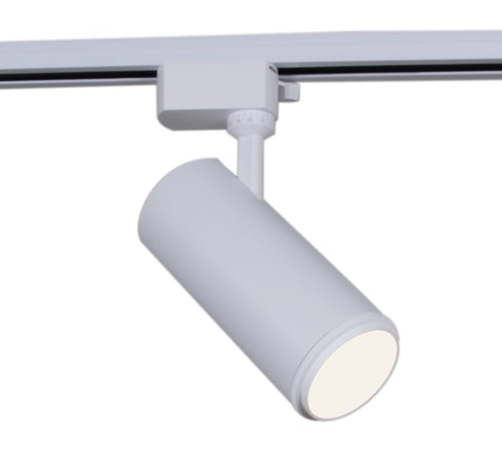 Трековый светодиодный светильник Reluce 06650-9.3-LED10/20/30W CCT WT 1