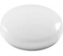 Умный накладной светильник Sibling Powerlite - LCL 24Вт 00-00012143