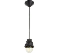 Светильник BayerLux 20551BK E27 60Вт черный 10х10х10-100 см 6907867