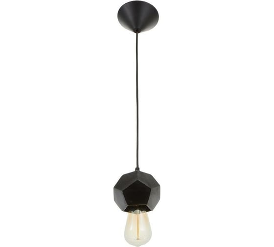 Светильник BayerLux 2056/1BK E27 60Вт черный 10х10х10-100 см 6907870 1