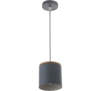 Светильник BayerLux 40388/1 E27 40Вт серый 13х13х15-115 см 4964569